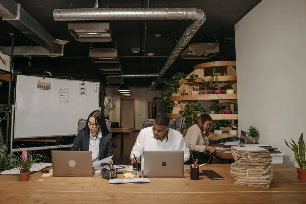 Équipe en réunion dans un bureau lumineux entouré de plantes vertes, symbolisant une entreprise engagée